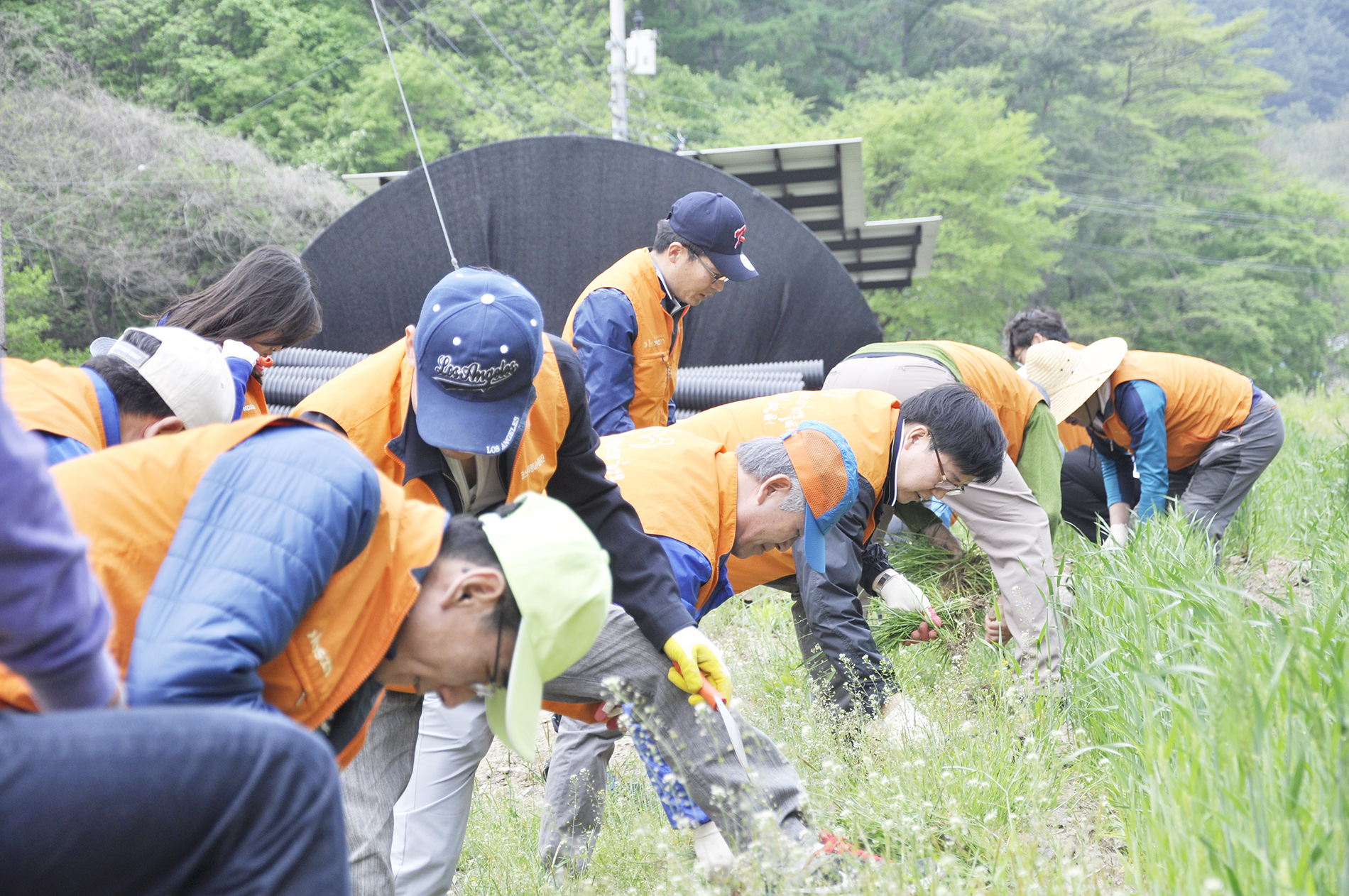 농번기 일손돕기 봉사활동 현장 사진