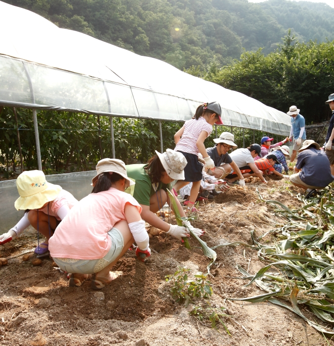 코스콤 임직원과 직원가족이 27~28일 강원도 춘천 명월마을을 찾아 주말 봉사활동을 펼쳤다.