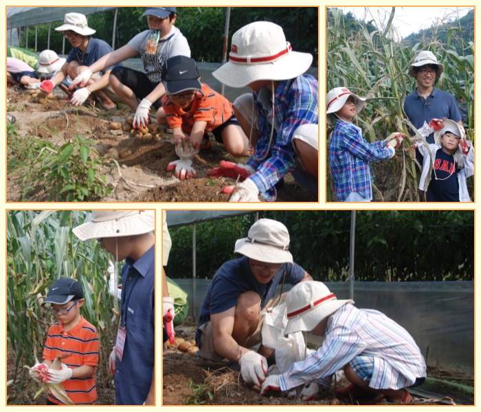 코스콤 직원 12가족이 자매결연 마을로 봉사활동을 다녀왔습니다.