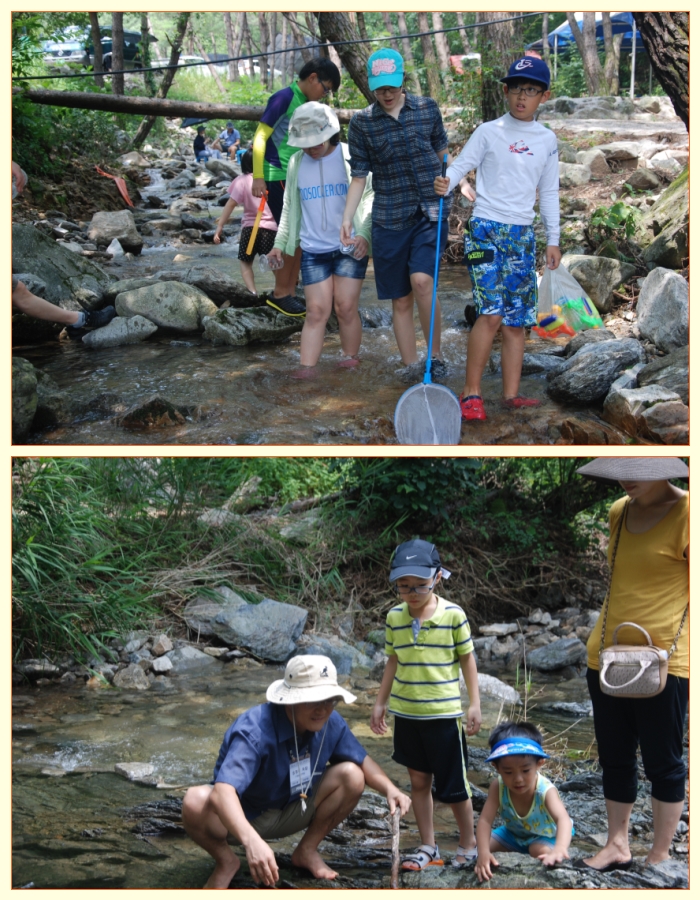 아이들이 마을 냇가에서 물고기를 잡으며 즐거운 시간을 보내고 있습니다.