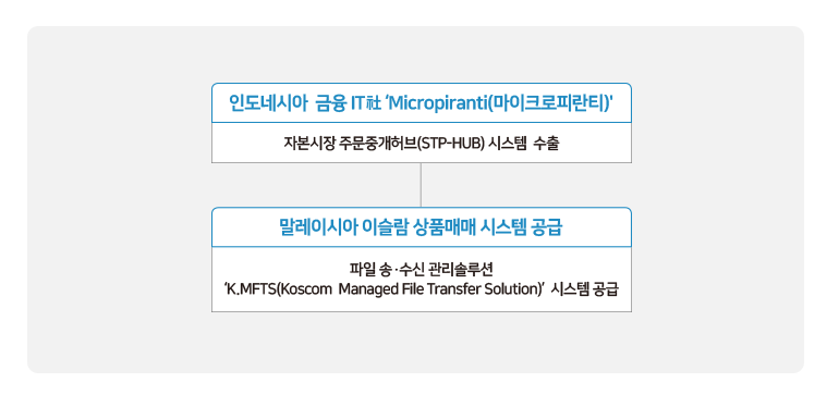 자체솔루션